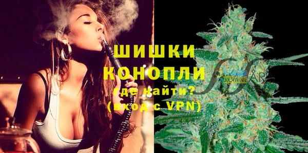 PSILOCYBIN Заволжье