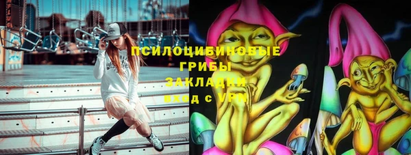 PSILOCYBIN Заволжье