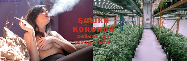 PSILOCYBIN Заволжье