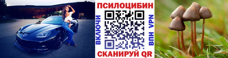 Псилоцибиновые грибы GOLDEN TEACHER Купить где Нариманов